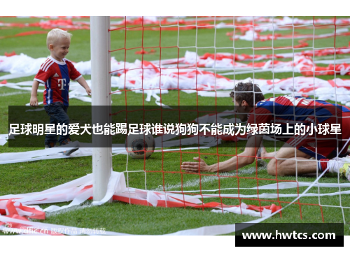 足球明星的爱犬也能踢足球谁说狗狗不能成为绿茵场上的小球星